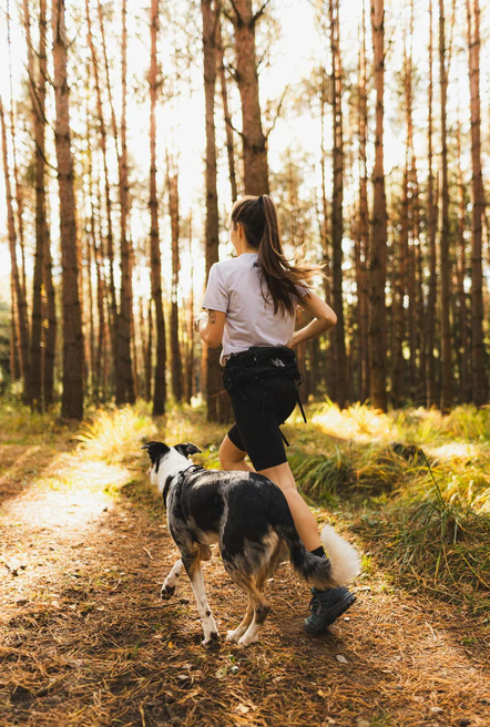 Non-Stop Trail light belt