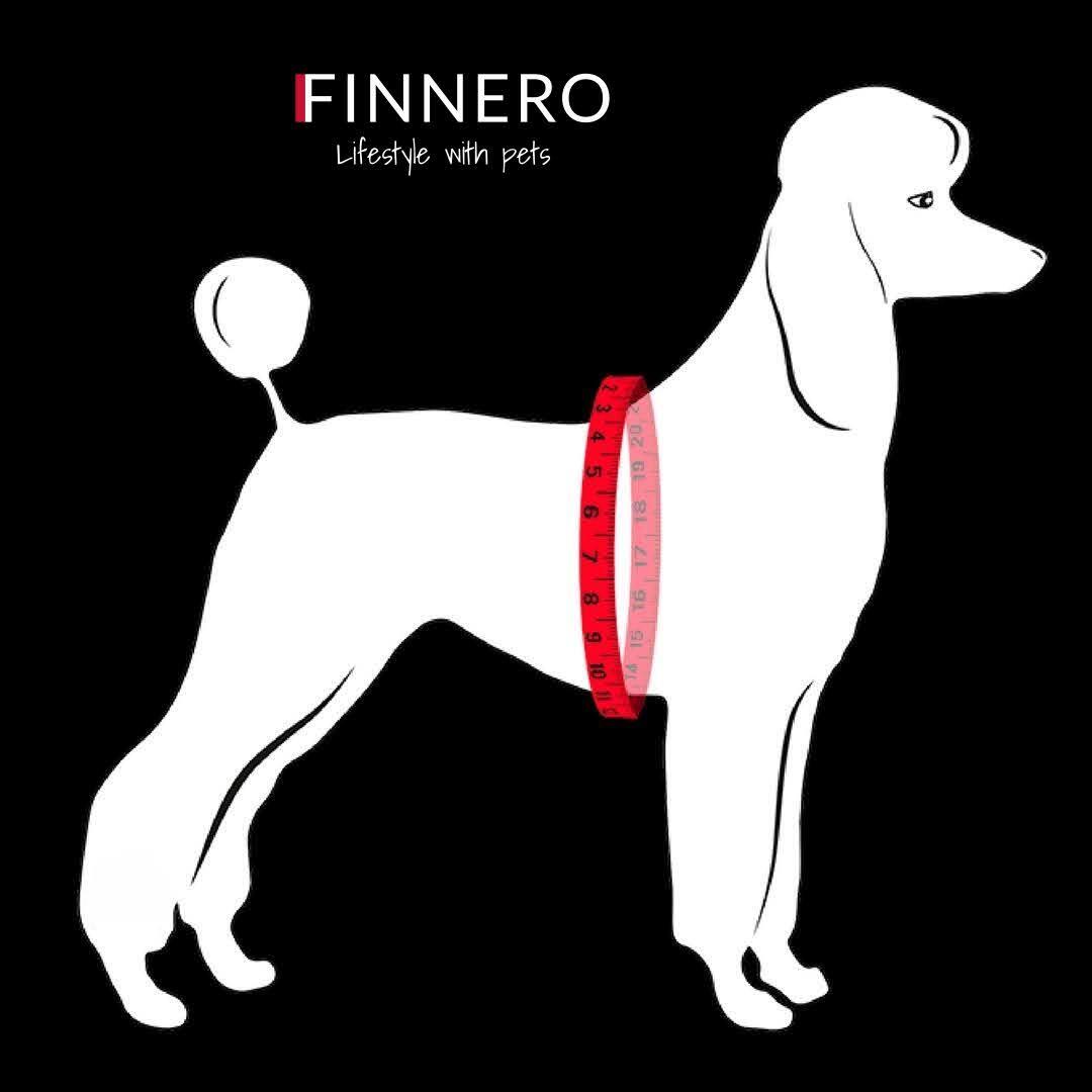 Finnero Salon Valjas koiralle - musta